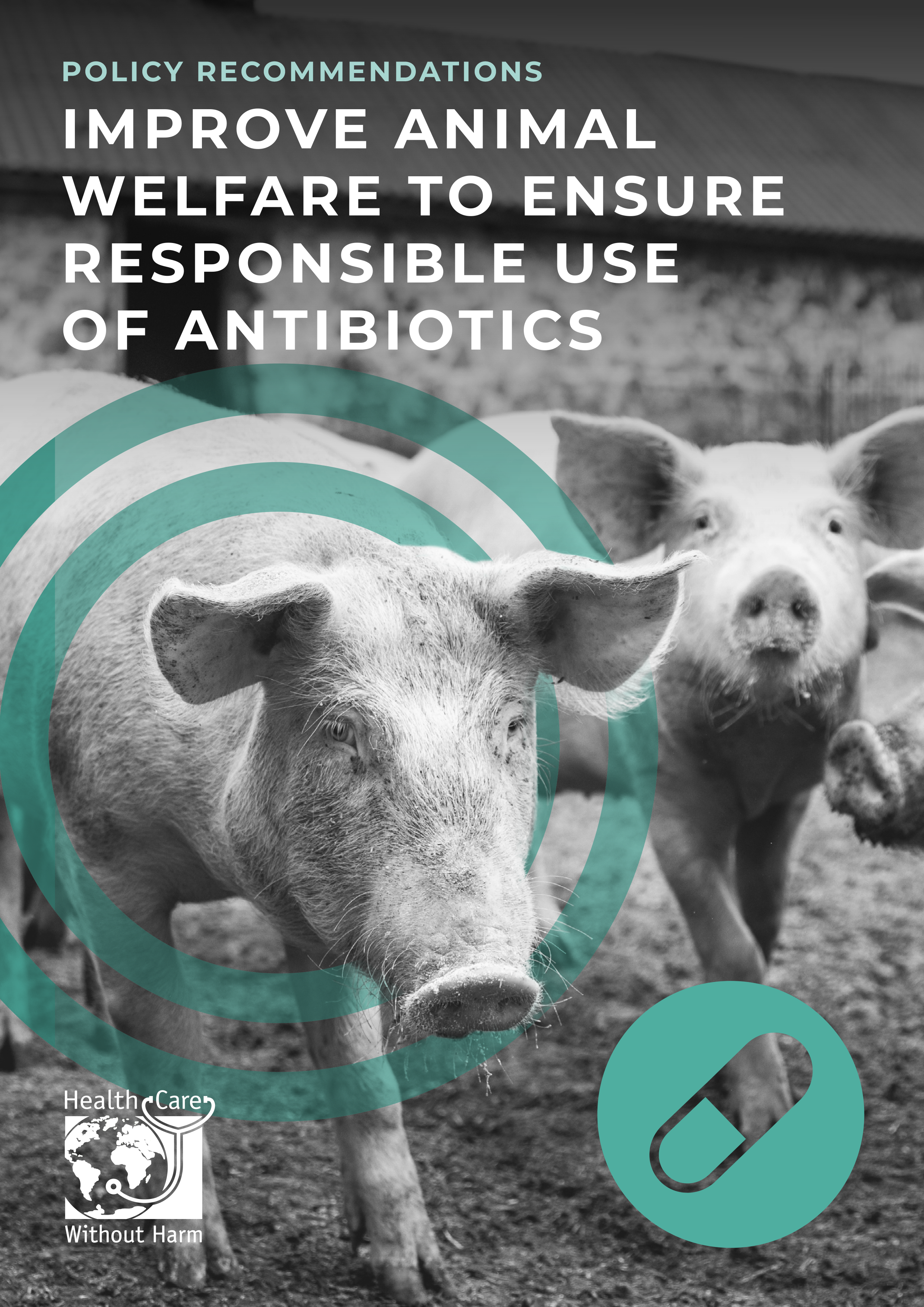 Policy recommendations | Improve animal welfare to ensure responsible use  of antibiotics | Health Care Without Harm