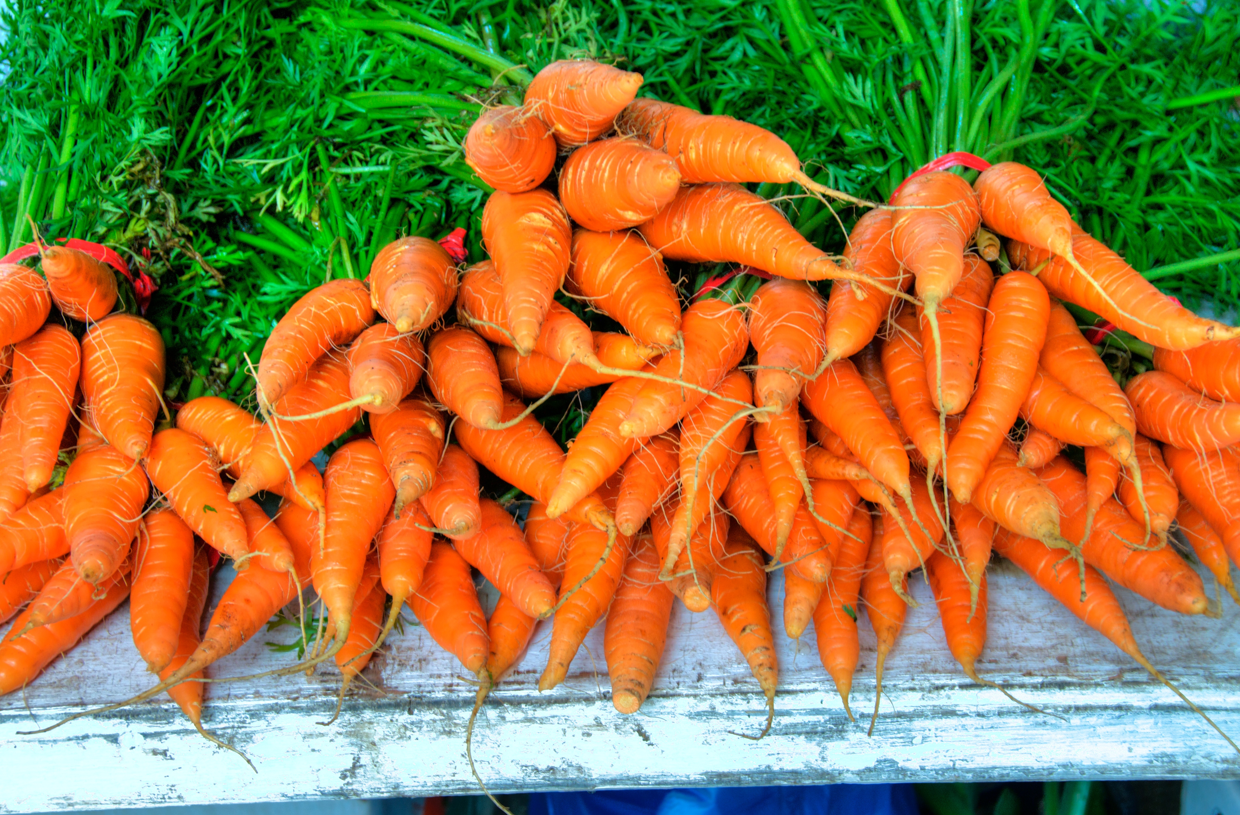 Большое количество моркови. Морковь. Много моркови. Куча морковки. Гора моркови.
